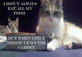 The Most Interesting Cat in the World