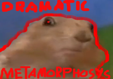 Dramatic Chipmunk / Drama Prairie Dog