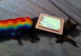 Nyan Cat / Pop Tart Cat