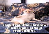 Draw Me Like One of Your French Girls