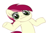 Pony Reactions