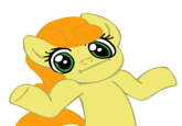 Pony Reactions