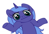 Pony Reactions