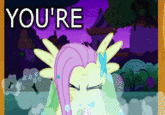 Flutterrage / Flutterbitch