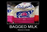 In Canada milk comes in bags
