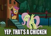 Scootaloo is a Chicken
