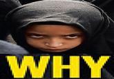 Tony Kornheiser's "Why"