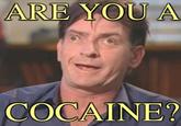 Charlie Sheen Rant / #tigerblood