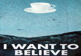 "I Want To Believe" Poster