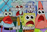SpongeBob SquarePants
