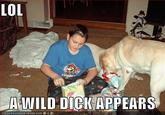 A Wild X Appears! / Wild X Appeared!