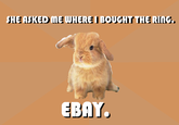 Cheap Bunny