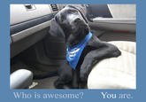 Who's Awesome? You're Awesome! / Sos Groso, Sabelo!