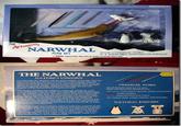 The Narwhal Bacons at Midnight