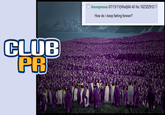 Purple Republic/Club Penguin Raids