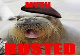 Mythbusters
