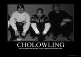 Owling