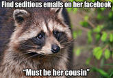 Benefit of the Doubt Bandit