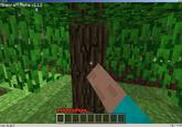Punching Trees Gives Me Wood