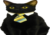 Business Cat