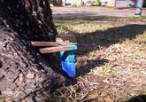 Punching Trees Gives Me Wood