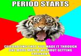 Time of the Month Tiger