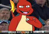 Jacksonville Jaguars Fan