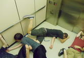 Playing Dead