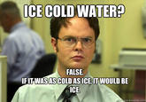 Schrute Facts