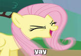 Bronyspeak