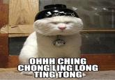 Asians in the Library