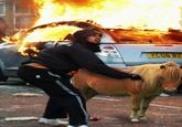 2011 United Kingdom Riots