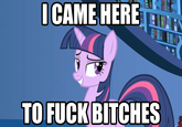I/We Came Here To Fuck Bitches