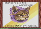 Hipster Kitty
