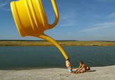 Forced Perspective