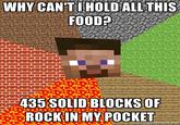 Minecraft Guy