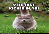VTEC just kicked in, yo!