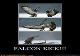 Falcon Punch