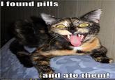I Found Pills... And Ate Them!