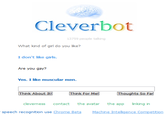 Cleverbot