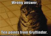 Ten points for/from Gryffindor