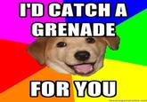 Advice Dog