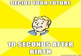 Fallout (series)