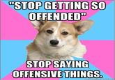 Critical Feminist Corgi