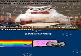 Chemistry Cat