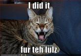 I Did It for the Lulz