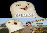 Nope! Chuck Testa