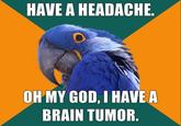Paranoid Parrot