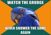 Paranoid Parrot