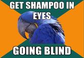 Paranoid Parrot
